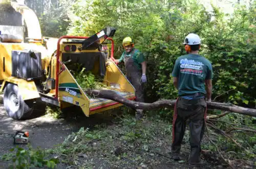 tree services Walker